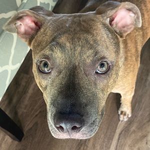 Meet your Posher, Cloey